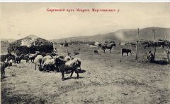 Киргизский аул Медресе Маргеланского уезда