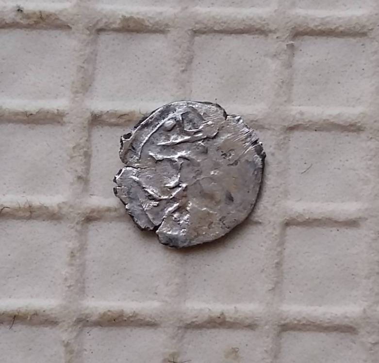 20190411_145159.jpg